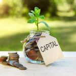 Capital Investment